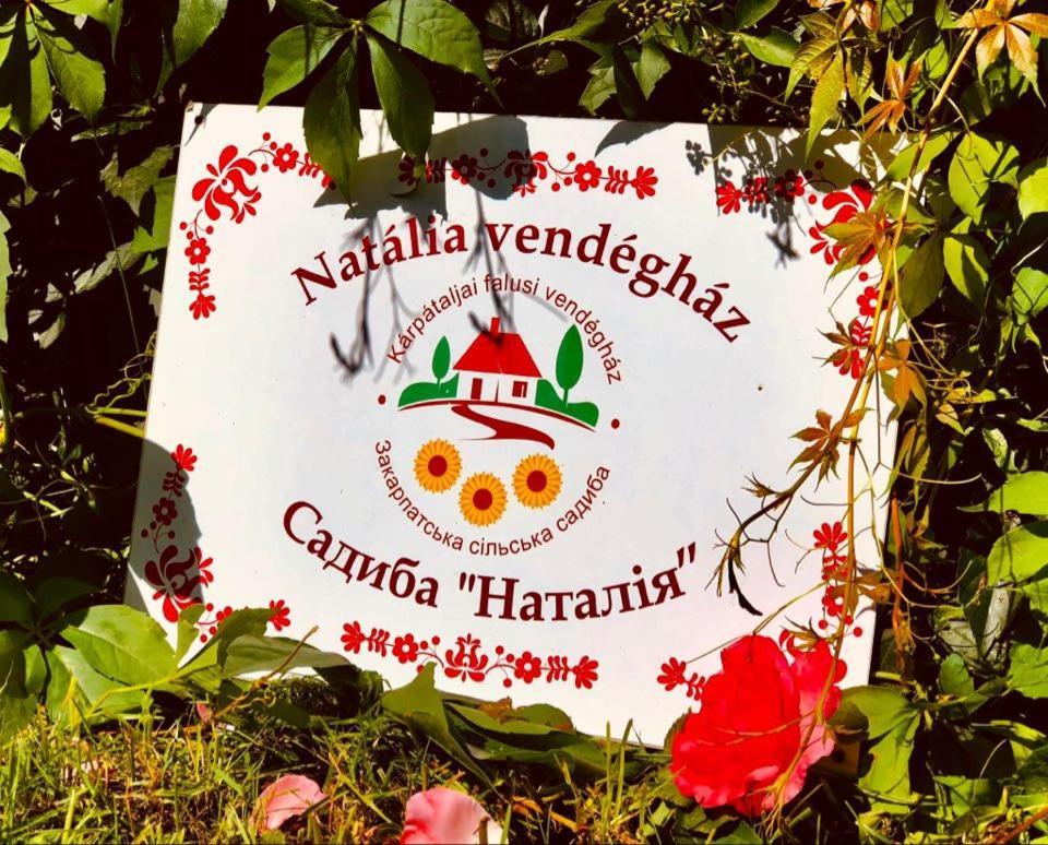 Natalia Vendeghaz Hotel Csetfalvat Ngoại thất bức ảnh